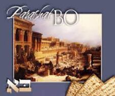Bo - בֹּא
Go [to Pharaoh]
Then the Eternal One said to Moses, "Go to Pharaoh. For I have hardened his heart and the hearts of his courtiers, in order that I may display these My signs among them." - Exodus 10:1
TORAH
Exodus 10:1−13:16
HAFTARAH
Jeremiah 46:13-28